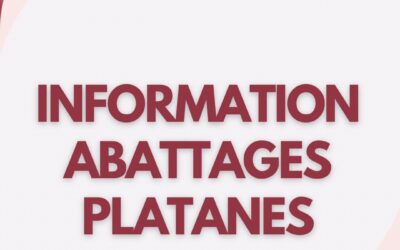 INFORMATION MUNICIPALE : ABATTAGE DE SÉCURITÉ DE PLATANES