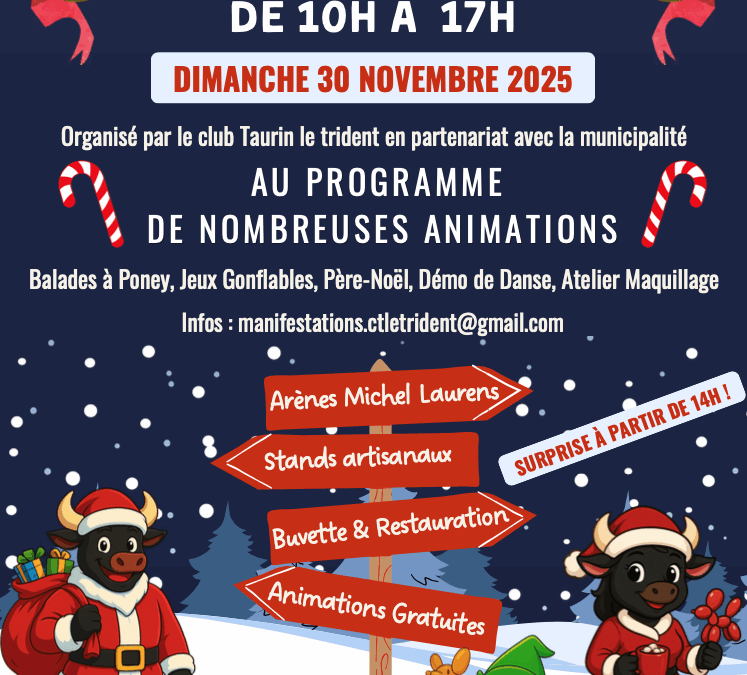 🎄✨ Le Marché de Noël ✨🎅