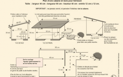 Plan d’une cabane pour hérisson