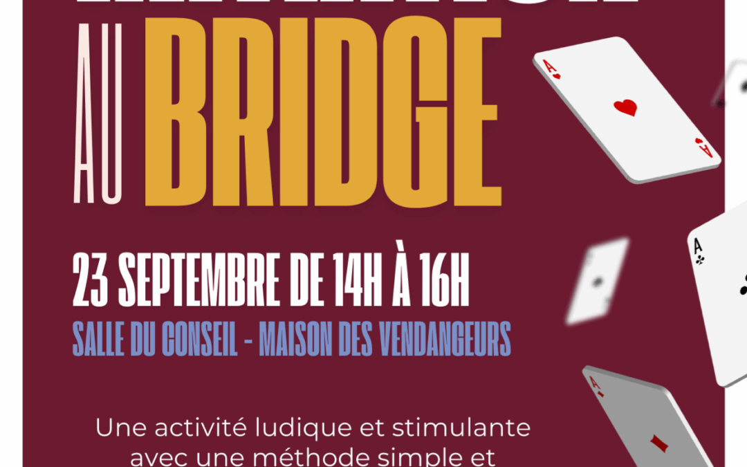 Initiation au Bridge