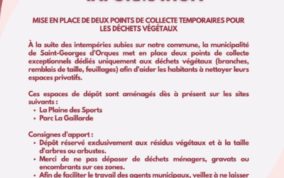 Mise en place de deux points de collecte temporaires pour les déchets végétaux