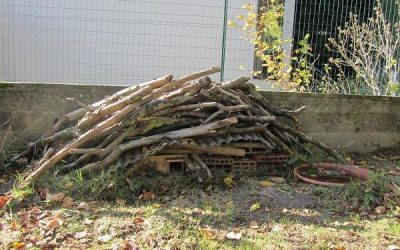 La vie sous le tas de bois