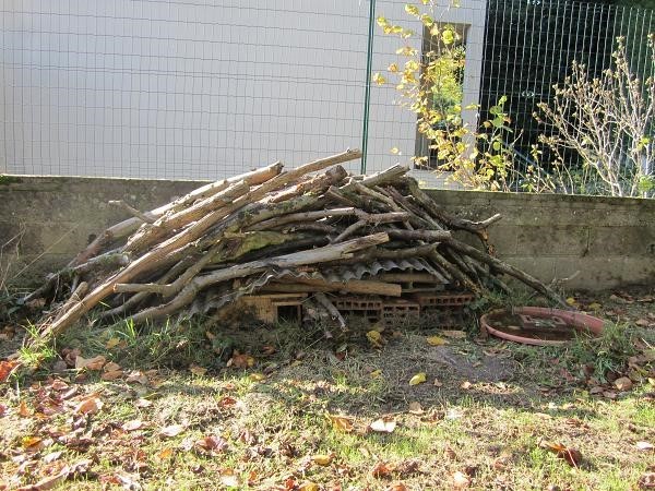 La vie sous le tas de bois