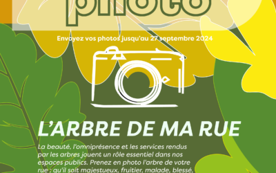 Lancement du concours photo !