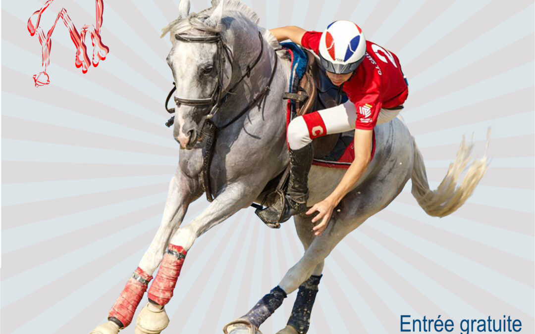 Tournoi International de HorseBall – 20 ANS