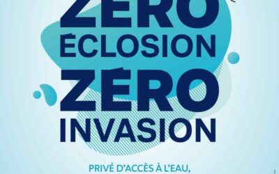 Zéro éclosion, zéro invasion : mobilisons-nous contre le moustique-tigre