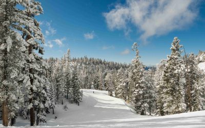 Séjour Hiver intercommunal