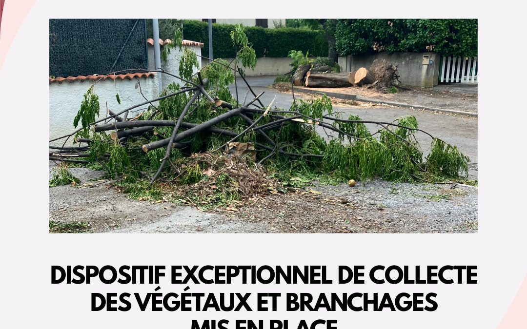 TEMPÊTE – DISPOSITIF EXCEPTIONNEL DE COLLECTE DES VÉGÉTAUX