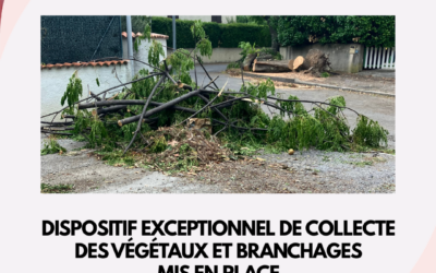 TEMPÊTE – DISPOSITIF EXCEPTIONNEL DE COLLECTE DES VÉGÉTAUX