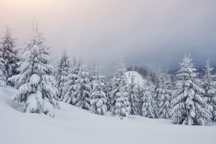 info séjour Hiver-Ski 2023